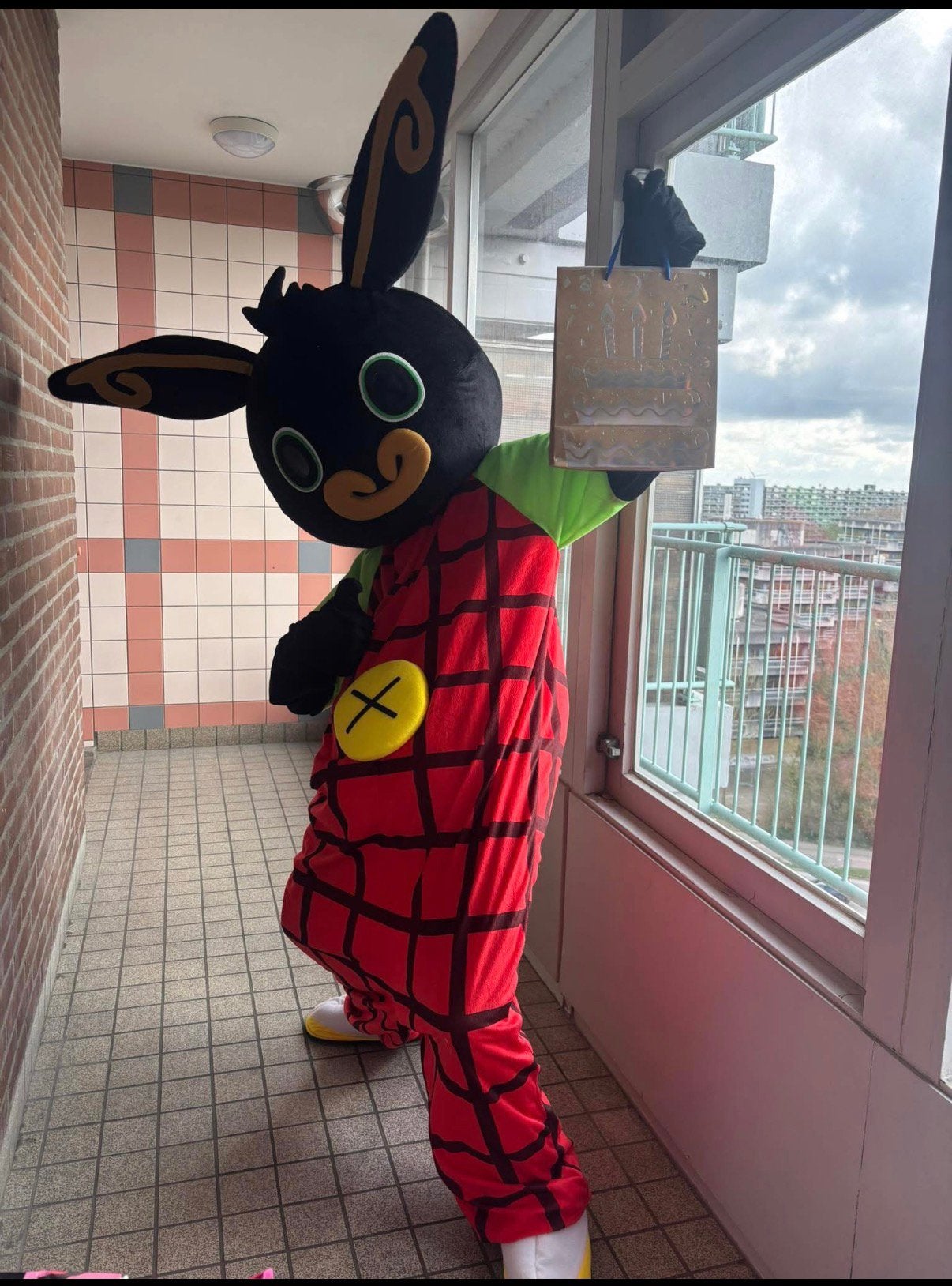 Bing mascotte te huur, Ophalen, Zo goed als nieuw, Verjaardag