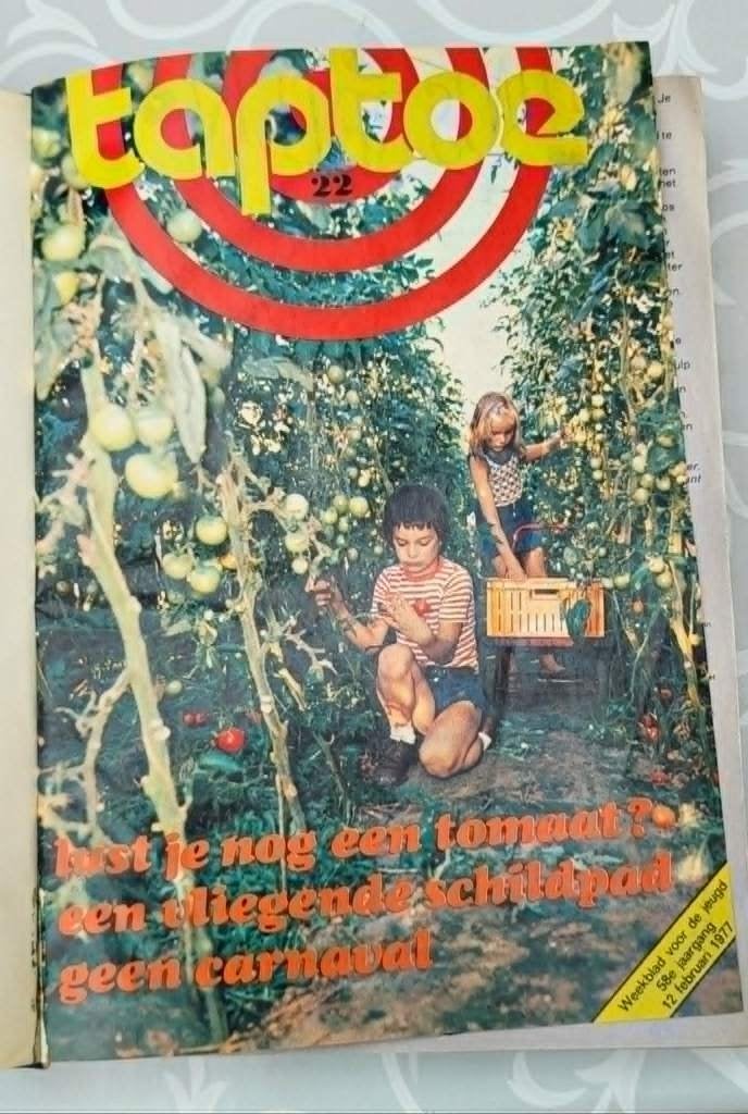 Verzamelband Nederlandse jeugdtijdschrift Taptoe, Boeken, Gelezen, Ophalen of Verzenden, Diversen, Meerdere stripboeken