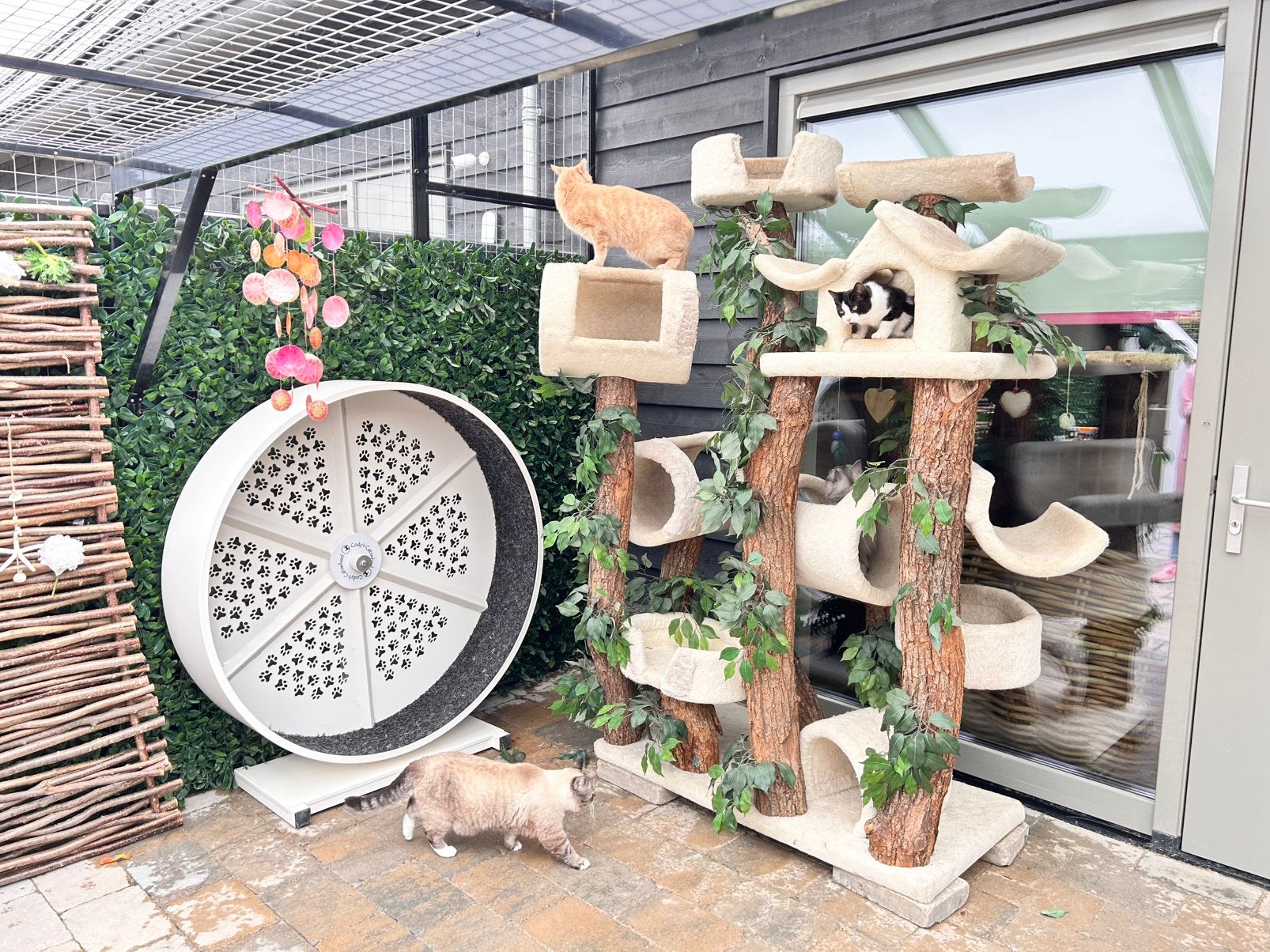 Cody’s catwheel . Compleet stil 125 cm, Dieren en Toebehoren, Katten-accessoires, Verzenden, Nieuw