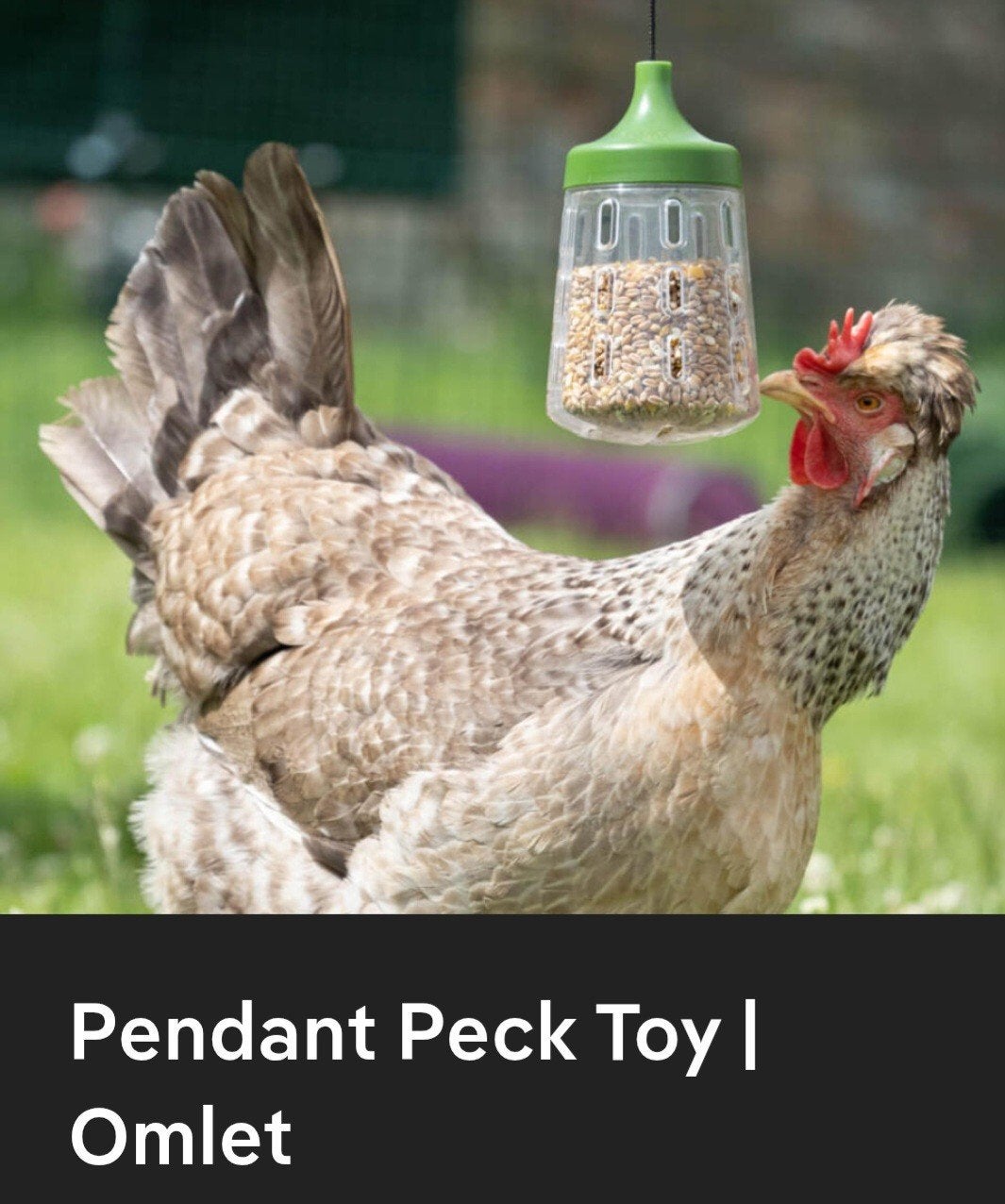 Pendant pech toy- hangend - voer - speeltje kippen, Dieren en Toebehoren, Meerdere dieren, Kip