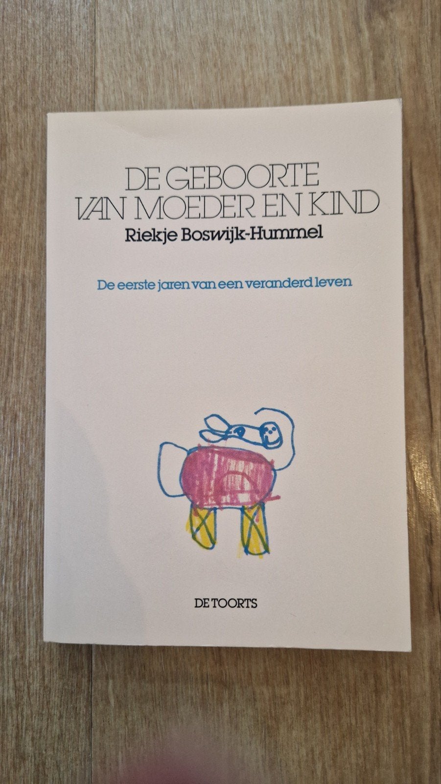 R. Boswijk-Hummel - De geboorte van moeder en kind, Ophalen of Verzenden, Zo goed als nieuw