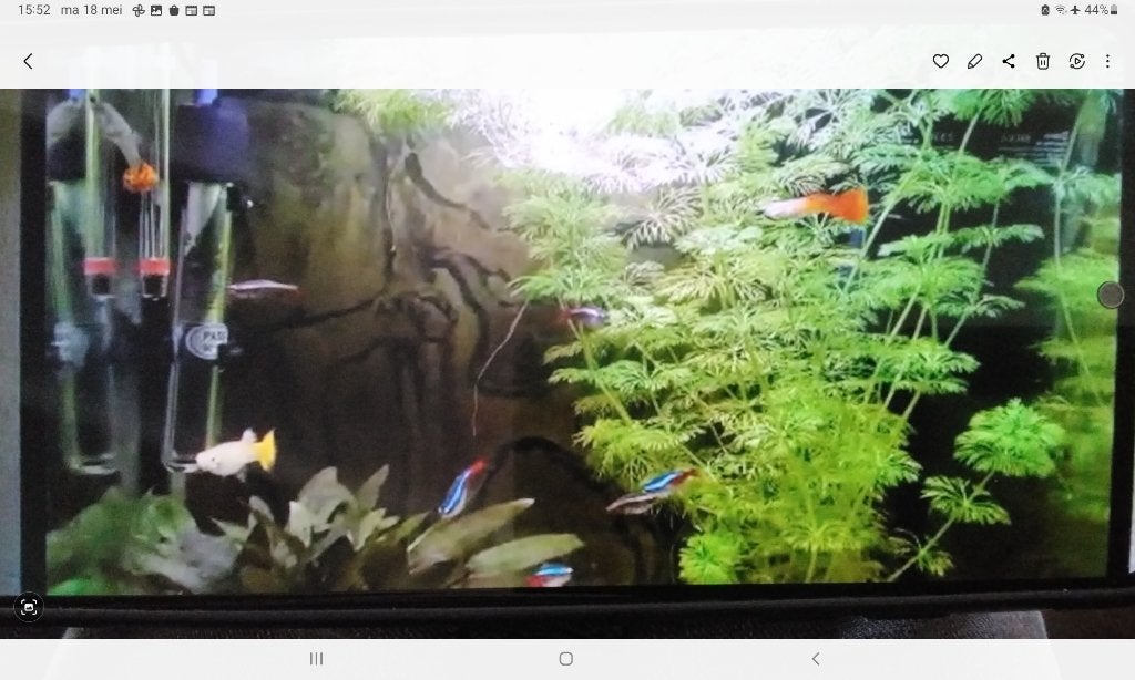 Aquarium, Dieren en Toebehoren, Vissen | Aquaria en Toebehoren, Ophalen, Aquaforest, Zo goed als nieuw, Leeg aquarium