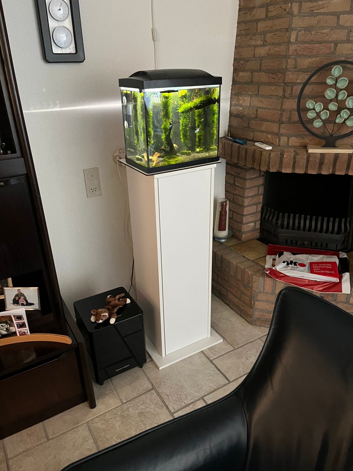Aquarium (SuperFish Start 30) + Aquariumzuil, Ophalen, Inclusief vissen, Superfish, Gevuld zoetwateraquarium