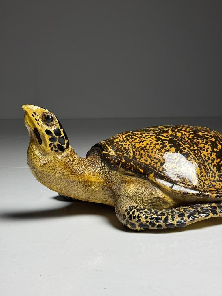 Schildpad Replica Kunststof, Ophalen