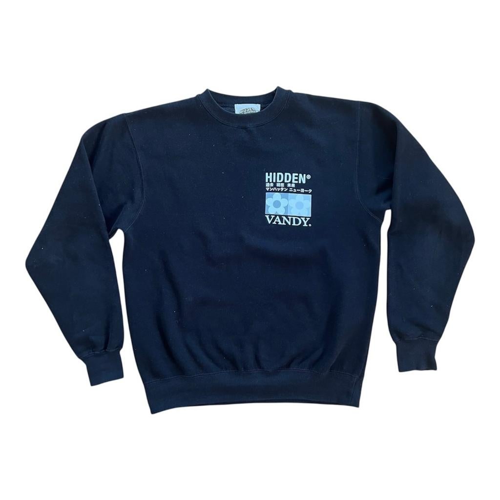 Hidden NY x Vandy Crewneck Sweater, Ophalen of Verzenden, Zo goed als nieuw, Maat 48/50 (M), Zwart