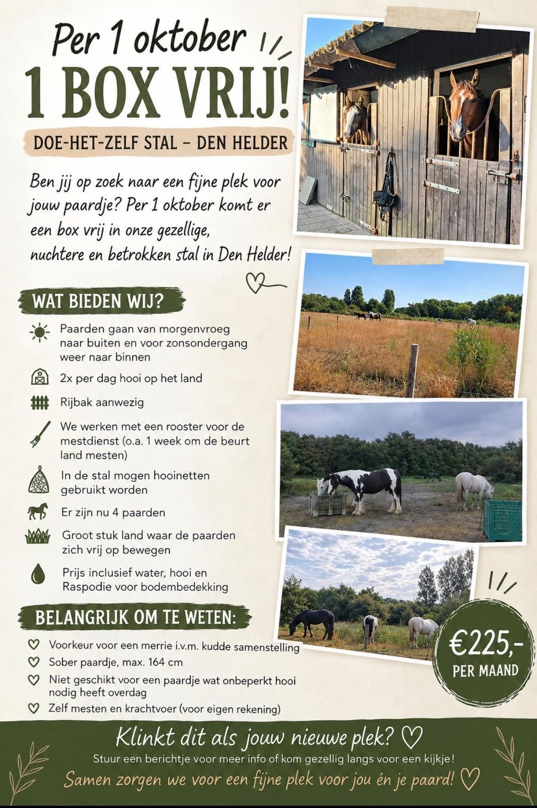 Stalling en Weidegang Den Helder, Stalling, 1 paard of pony