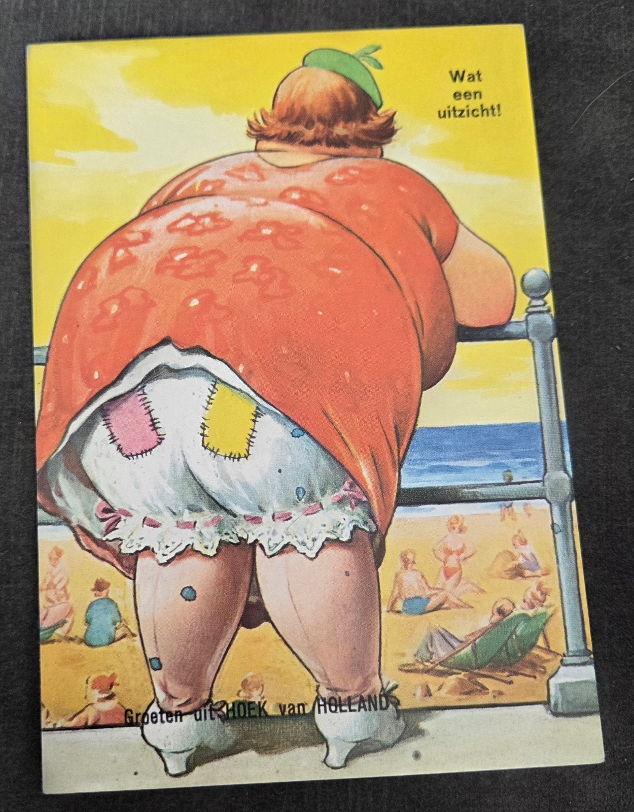 Wat een uitzicht! - Hoek van Holland - Humor, Verzenden, 1960 tot 1980, Gelopen, Overige thema's