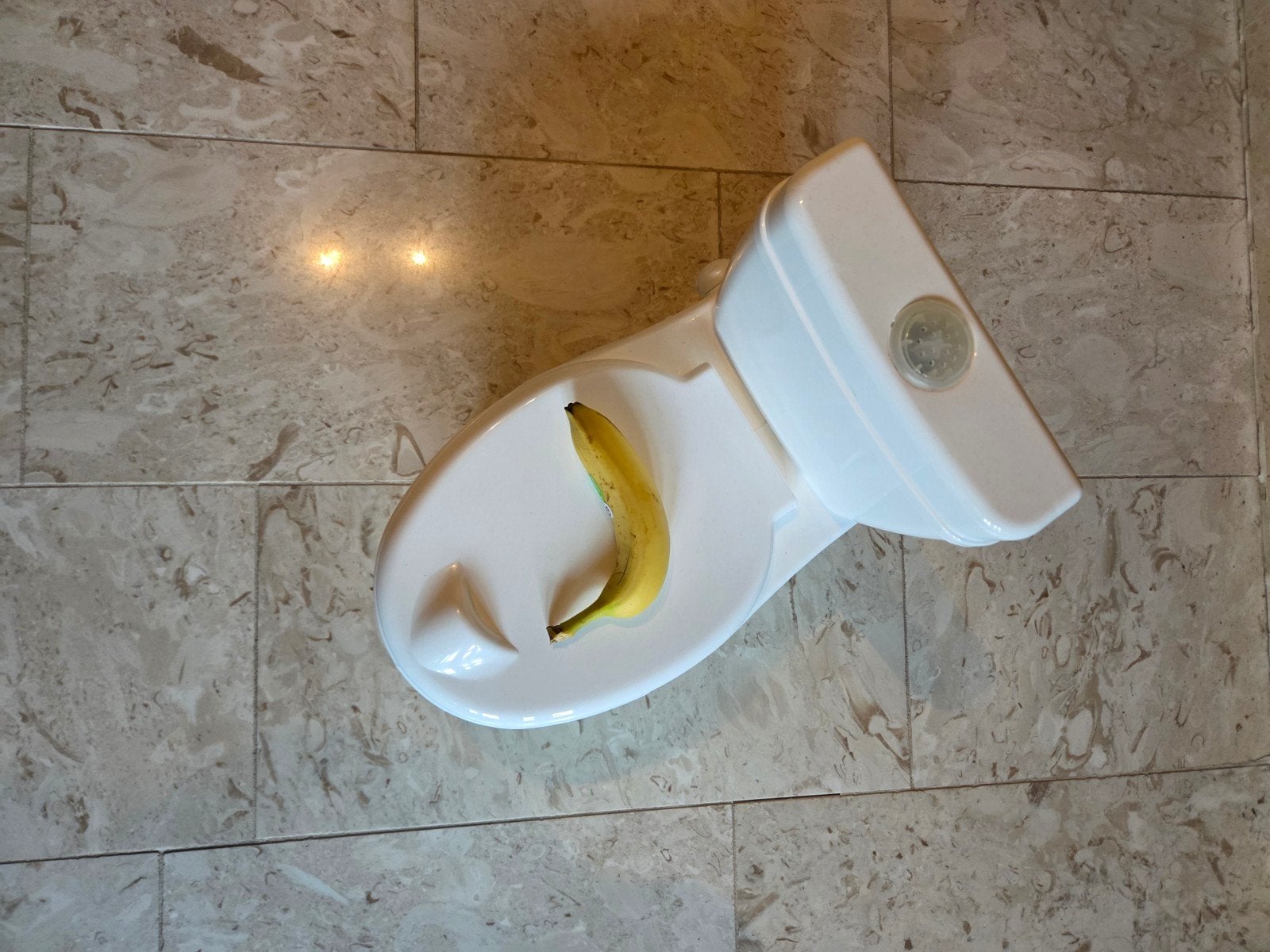 Potje met doortrek geluid, Ophalen of Verzenden, Gebruikt, Overige typen, Met geluid