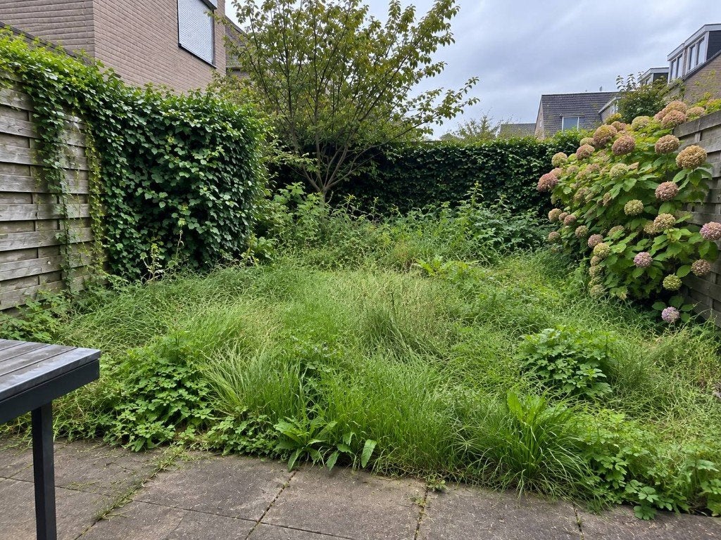 Tuinonderhoud, Gras maaien, Heg snoeien, Diensten en Vakmensen, Tuinonderhoud of Snoeiwerk