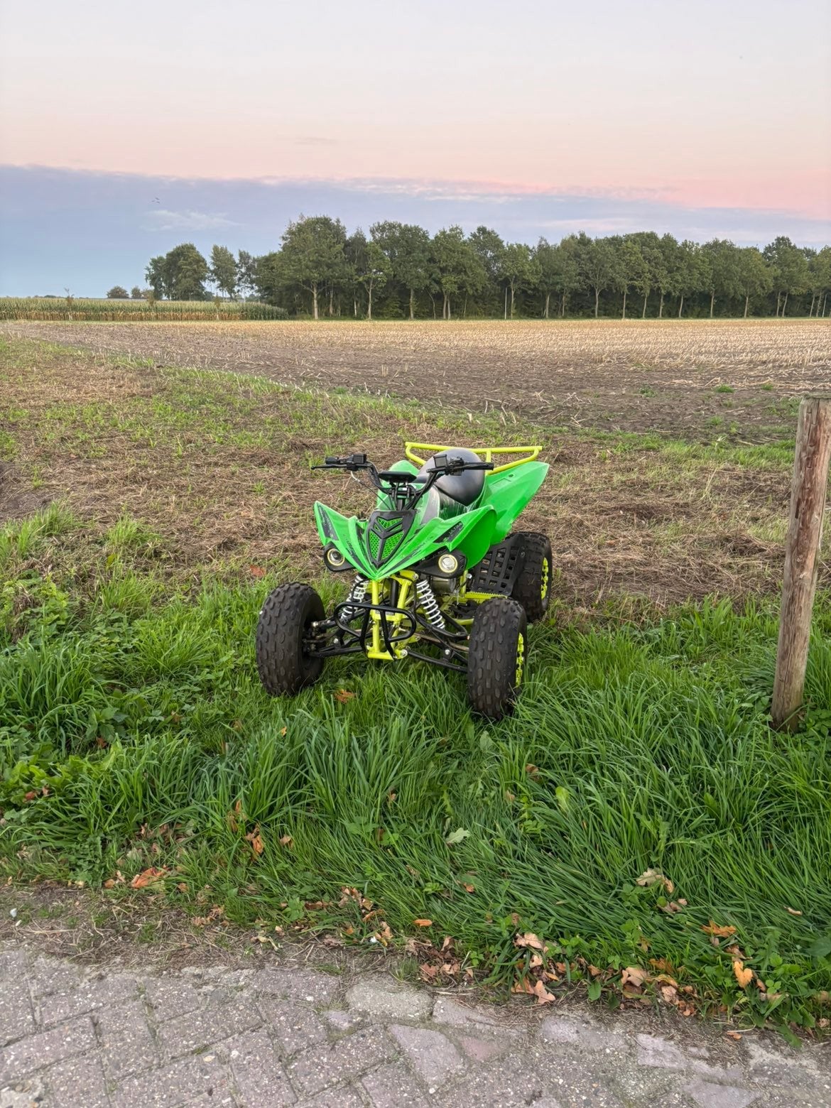 quad 125cc, Fietsen en Brommers, Ophalen, Zo goed als nieuw, Overige typen