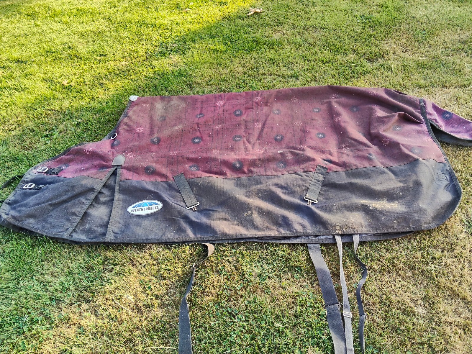 Weatherbeeta outdoor deken Comfitec Essential medium mt 205, Dieren en Toebehoren, Ophalen of Verzenden, Gebruikt