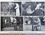 Artis 1917; 1 blz. Studieplaats voor onze kunstenaars, Verzenden, Voor 1940, Gebruikt, Overige onderwerpen
