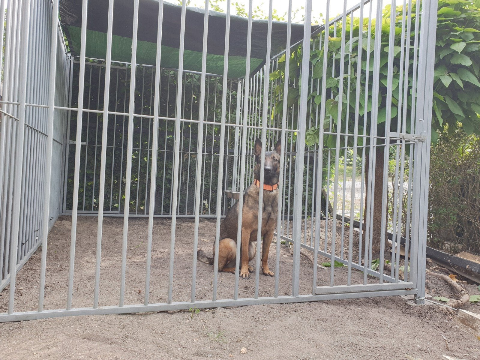kenneldelen 4 stuks, Ophalen, Gebruikt, Hondenren