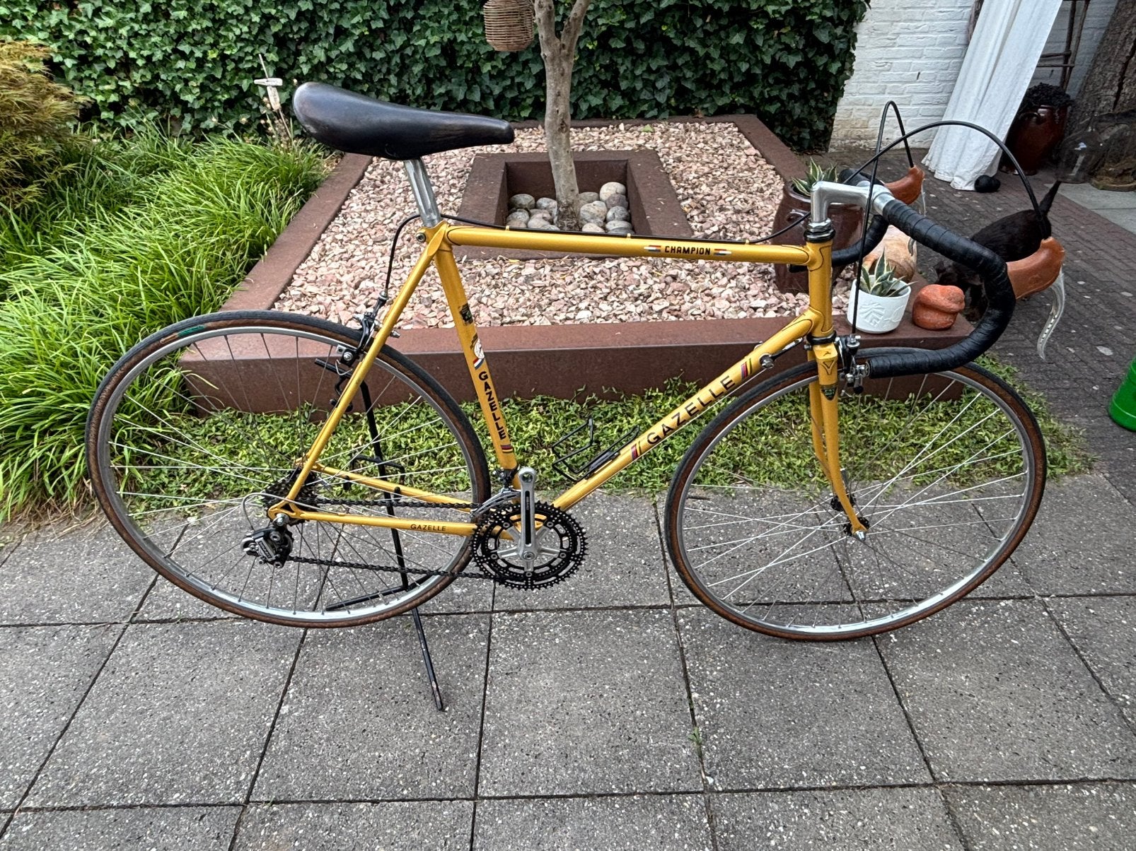 Gazelle Champion 1978 CT 58 (Gazelle Champion Mondial), Ophalen, 57 tot 61 cm, Gazelle, 10 tot 15 versnellingen