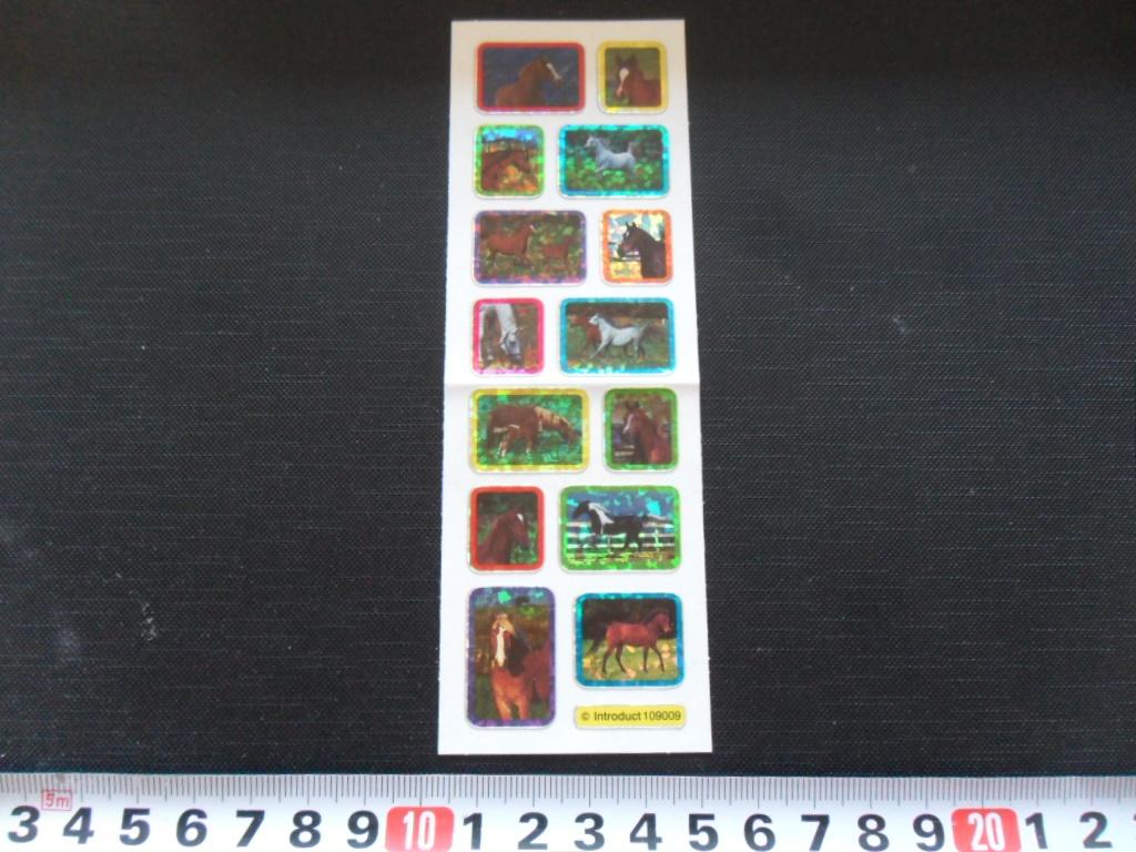 sticker set Paard Paarden GD082, Ophalen, Zo goed als nieuw