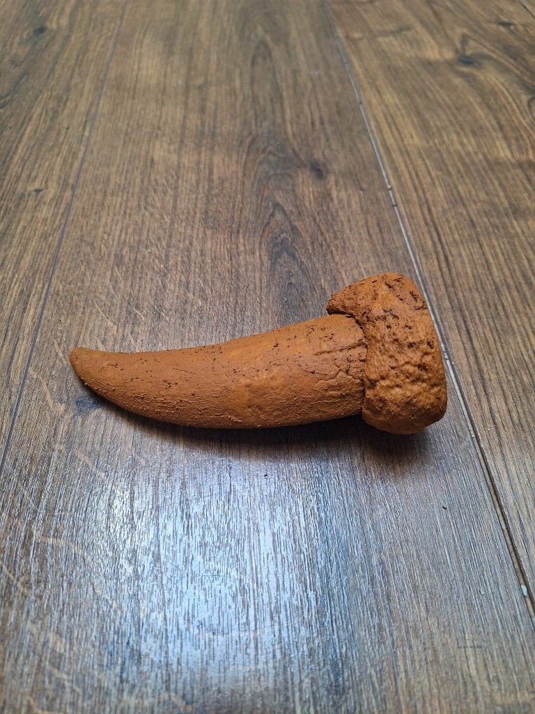 T-Rex Tanden - Museum Replica's!, Verzenden, Fossiel