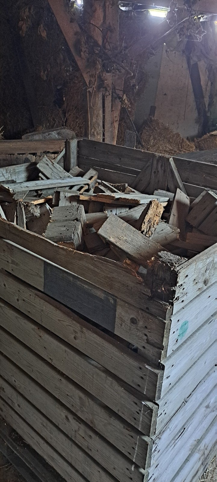Te Koop Haarthout/brandhout 2m3 in kist, Minder dan 3 m³, Ophalen, Overige houtsoorten