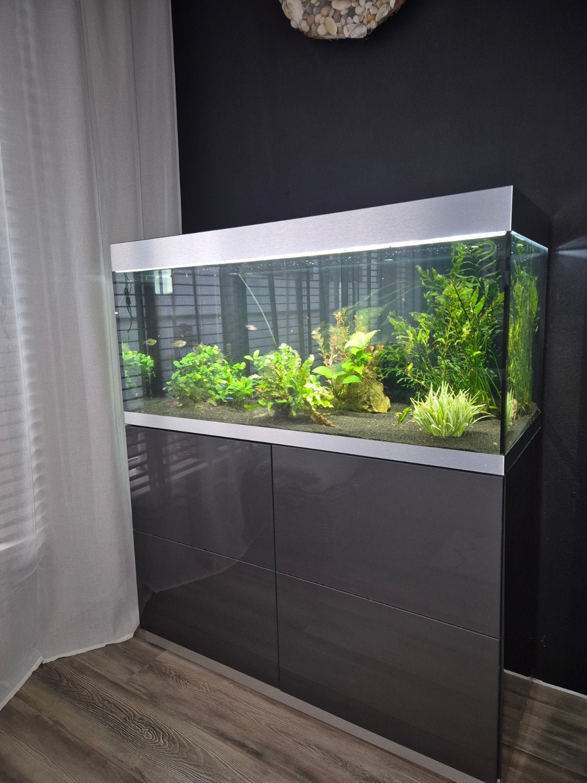 Oase HighLine 300 compleet, Dieren en Toebehoren, Ophalen, Gebruikt