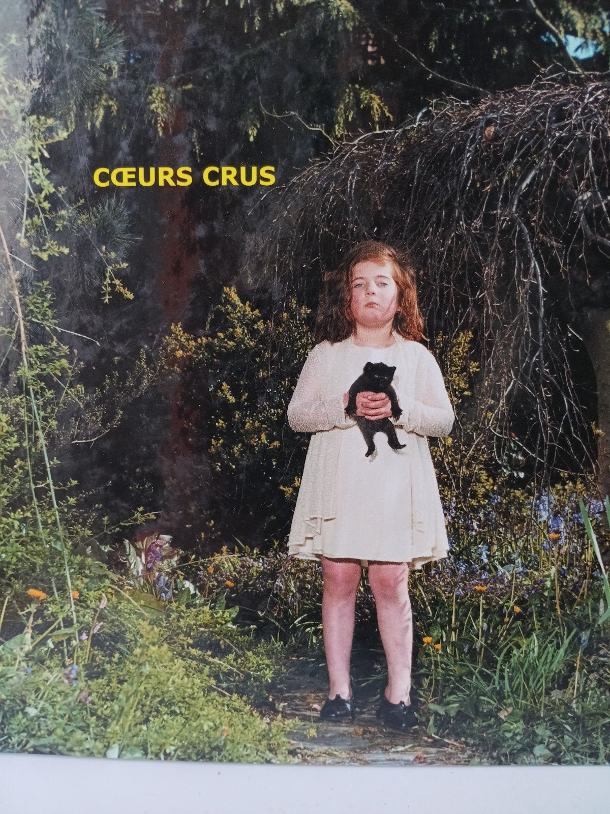 Kunstboek Coeurs Crus 2002 - Mode, Fotografie & Landschap, Ophalen of Verzenden, Gelezen, Fotografie algemeen, Ann Huybens, Patrick T'Hooft, Pierre Gayte
