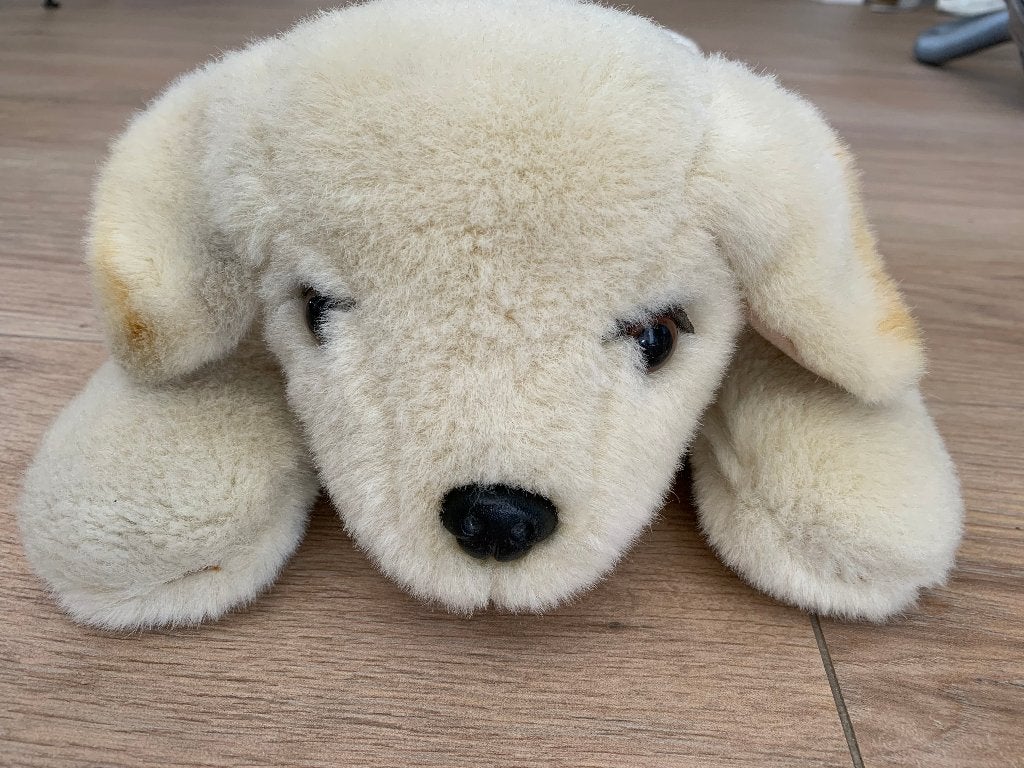 🐾🐶Labrador welpen pluche jouw zachte geheimbewaker 🐶🐾, Overige merken, Overige karakters, Zo goed als nieuw, Middelgroot (20 tot 80 cm)