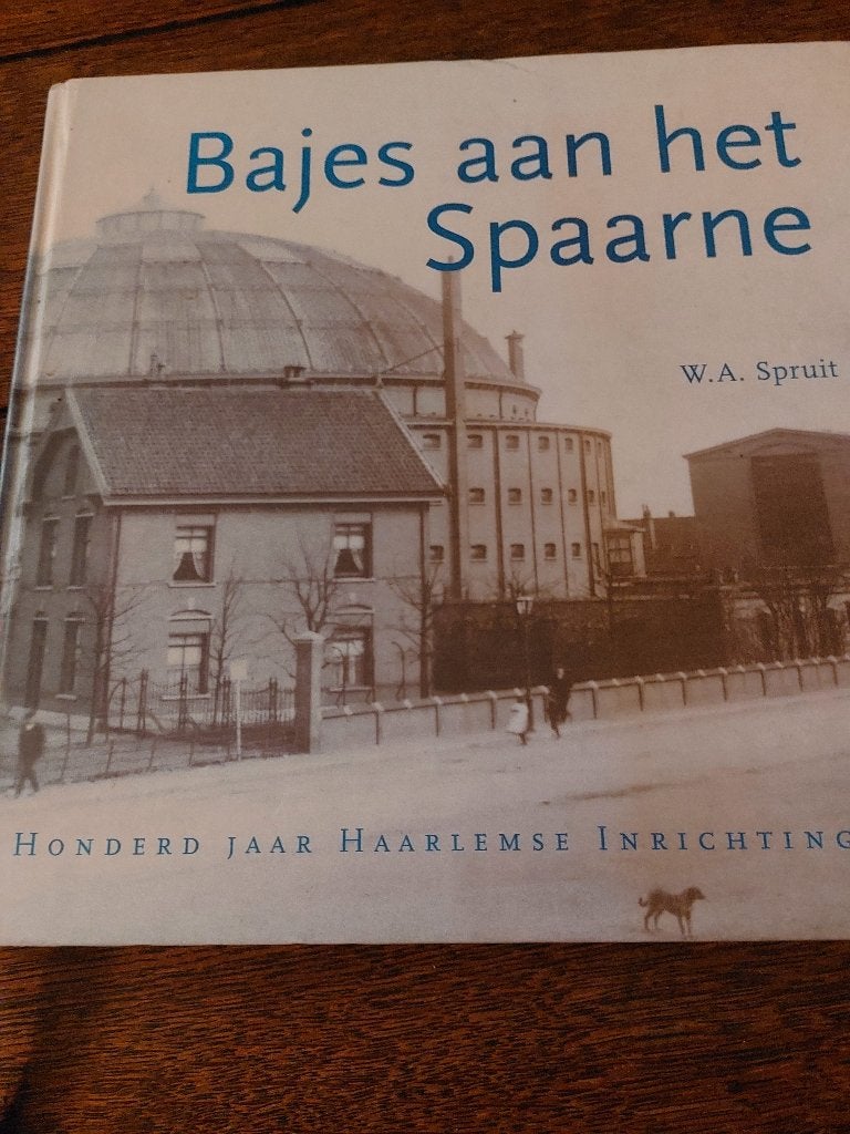 BAJES AAN HET SPAARNE- W.A. Spruit - 2001, Boeken, Geschiedenis | Stad en Regio, Ophalen of Verzenden, 20e eeuw of later, Zo goed als nieuw