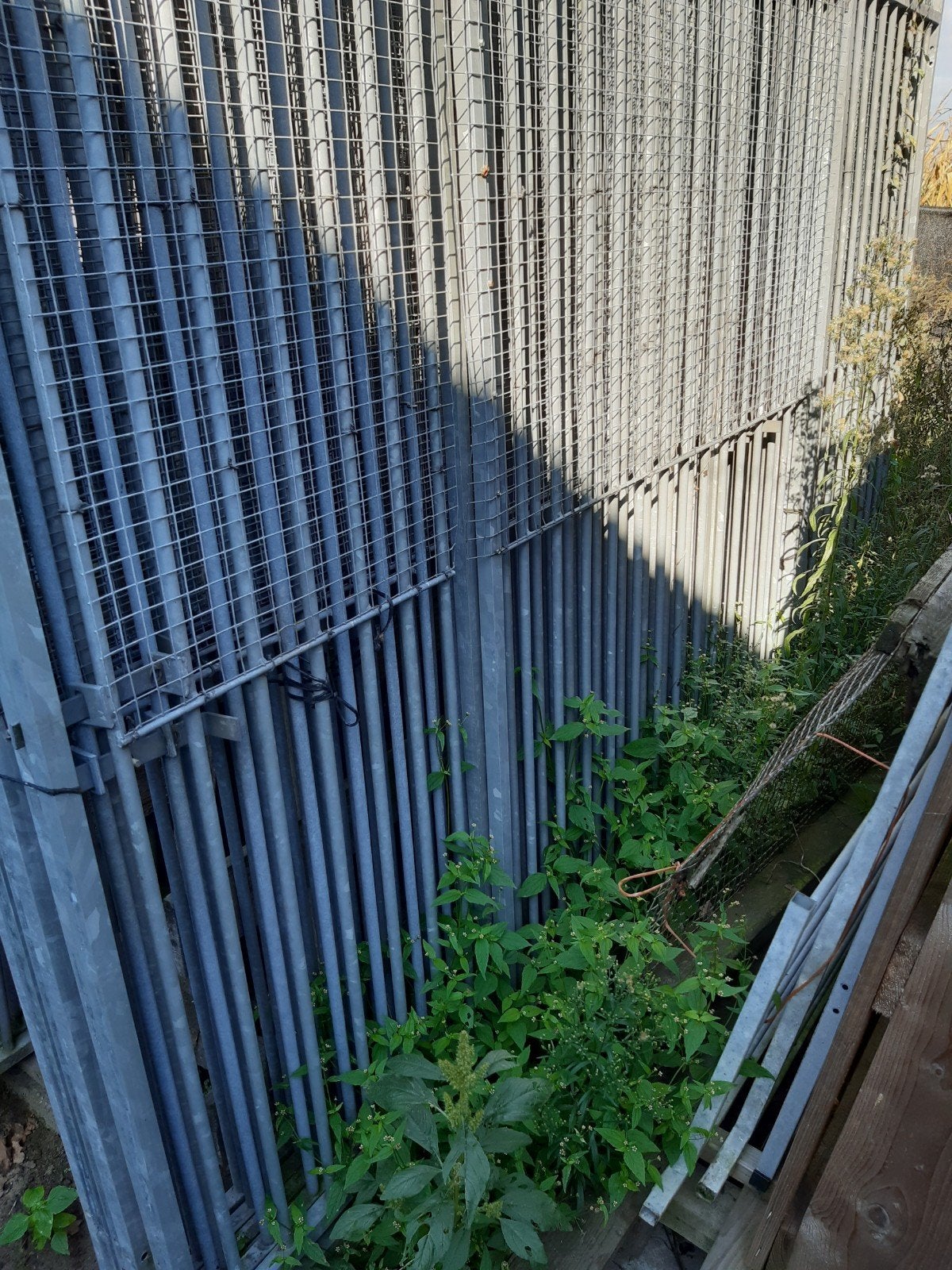 honde kennels, Ophalen, Zo goed als nieuw, 110 cm of meer, 100 cm of meer