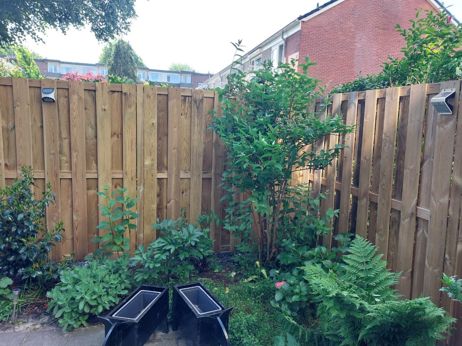 Schutting met poort nog geen jaar oud, Ophalen of Verzenden, Hout, 1 tot 2 meter