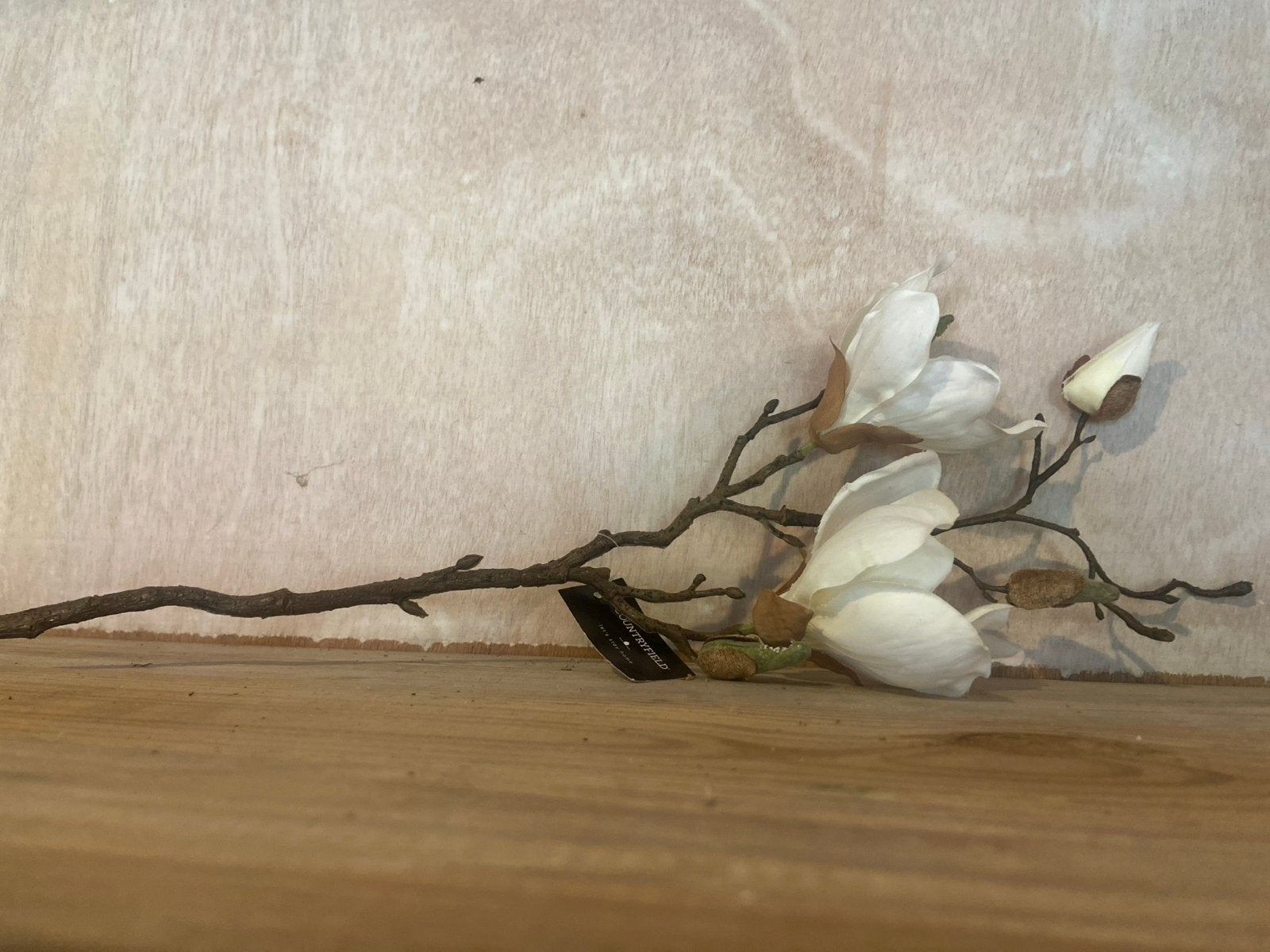 Decoratieve Magnolia tak - Kunstbloem, Binnen, Nieuw, Ophalen of Verzenden, Wit