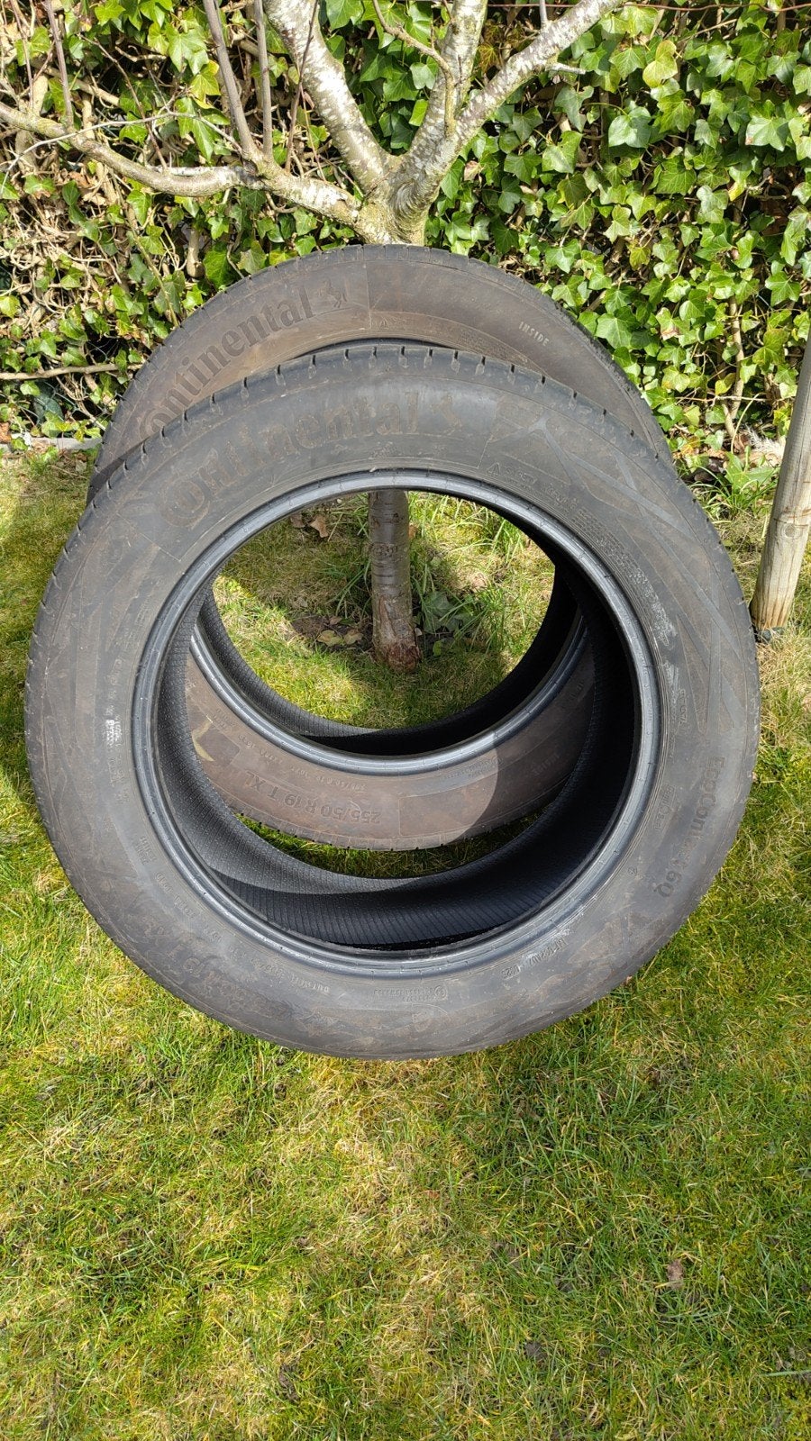 2 zomerbanden Continental EcoContact 6Q 236/55 R19, Ophalen of Verzenden