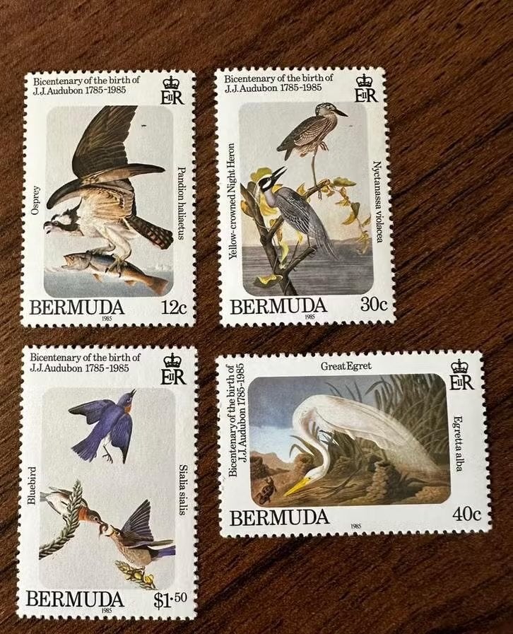 Bermuda 1985 Vogels postfris - Bicentenary J.J. Audubon, Ophalen of Verzenden, Postfris