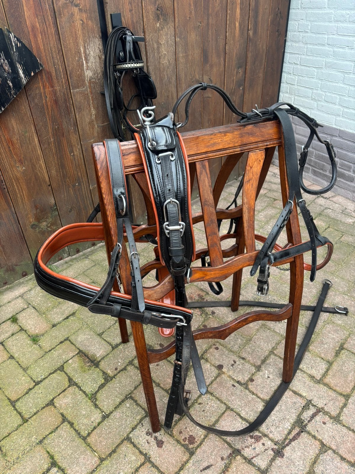 Enkelspan tuig pony, Overige disciplines, Anatomisch gevormd, Meerkleurig, Mentuig