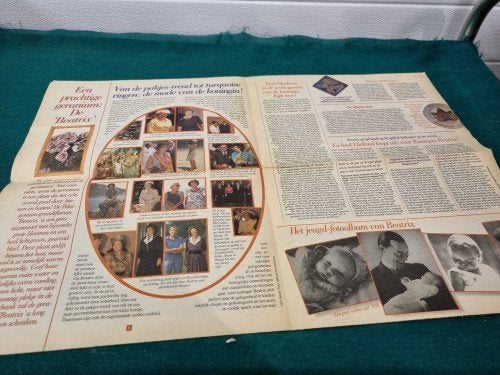 Oranjekrant libelle 1993, Ophalen of Verzenden