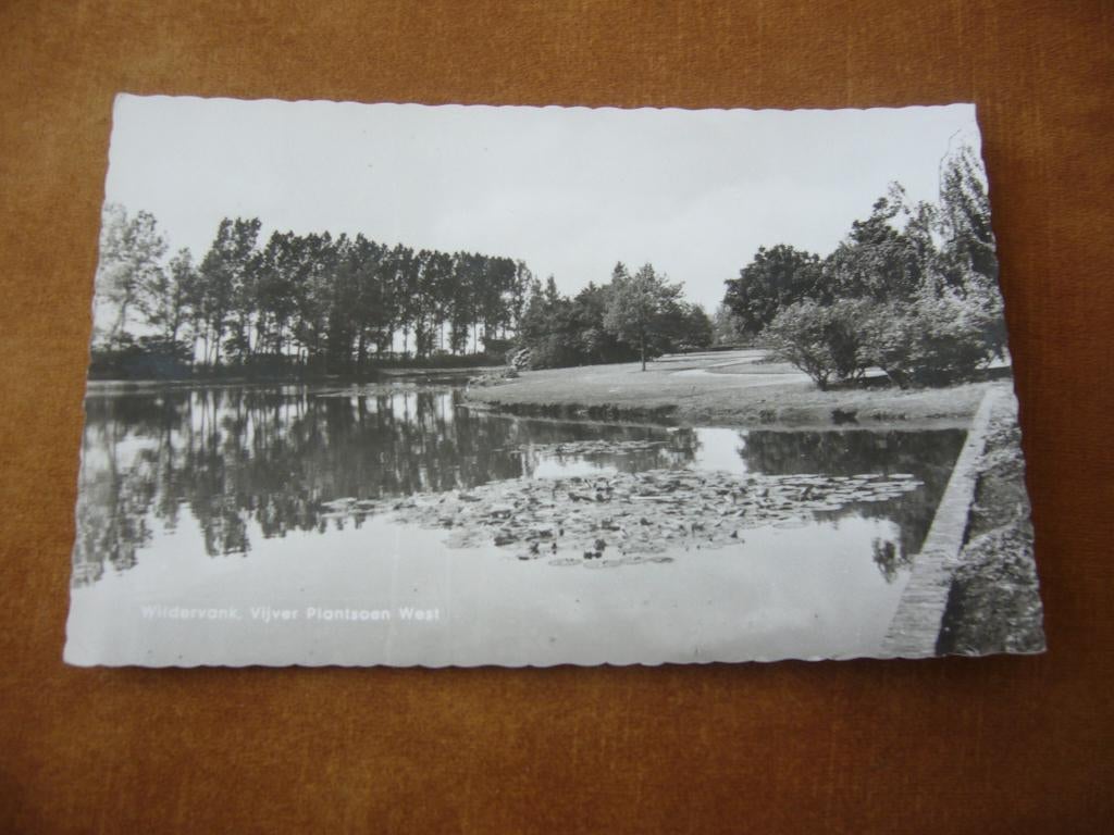 WILDERVANK  = VIJVER PLANTSOEN WEST, Ophalen of Verzenden, 1940 tot 1960, Gelopen