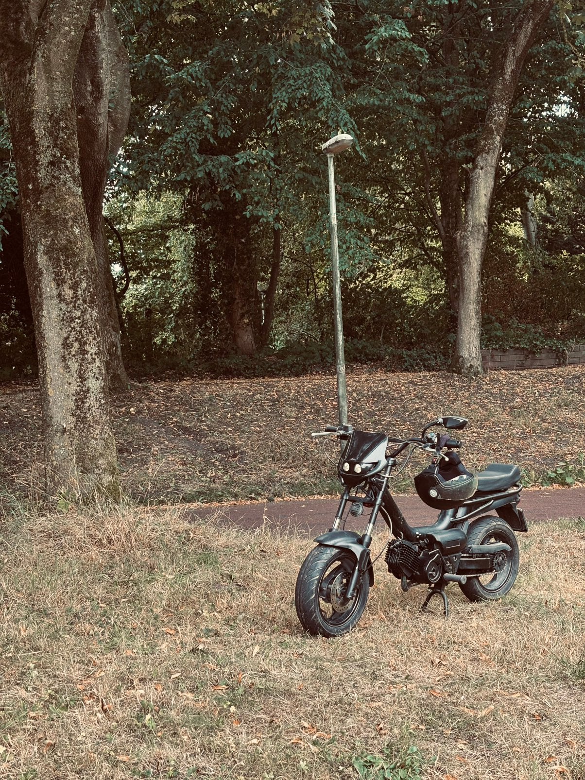 Tomos Youngster met blauwe plaat, Fietsen en Brommers, Snorfietsen en Snorscooters, Ophalen, Tweetakt, Gebruikt, Tomos