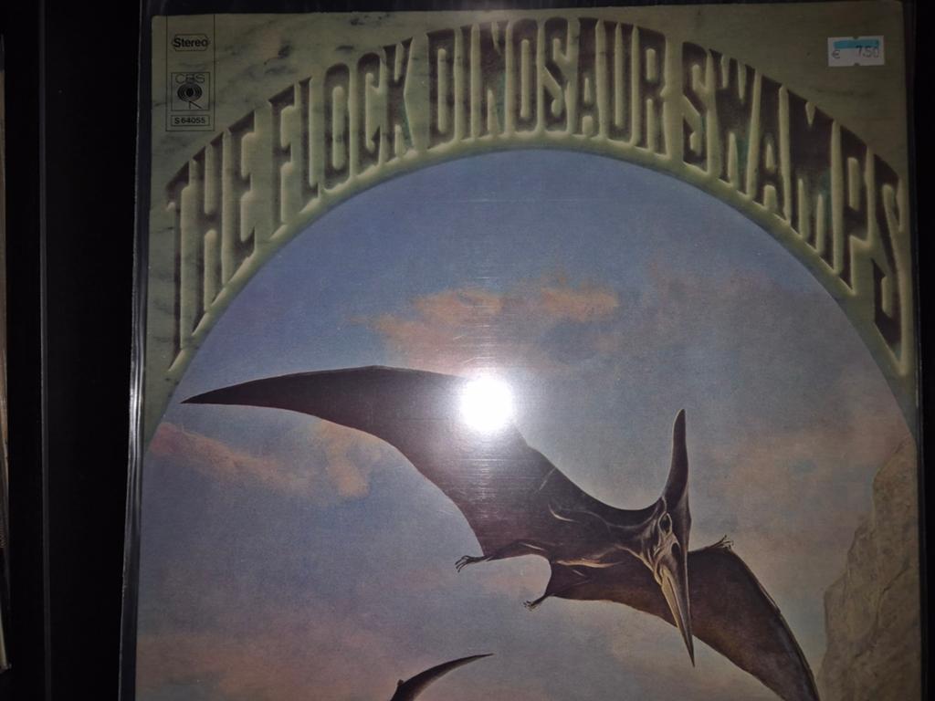Flock lp, Verzenden, Gebruikt, 12 inch, Poprock