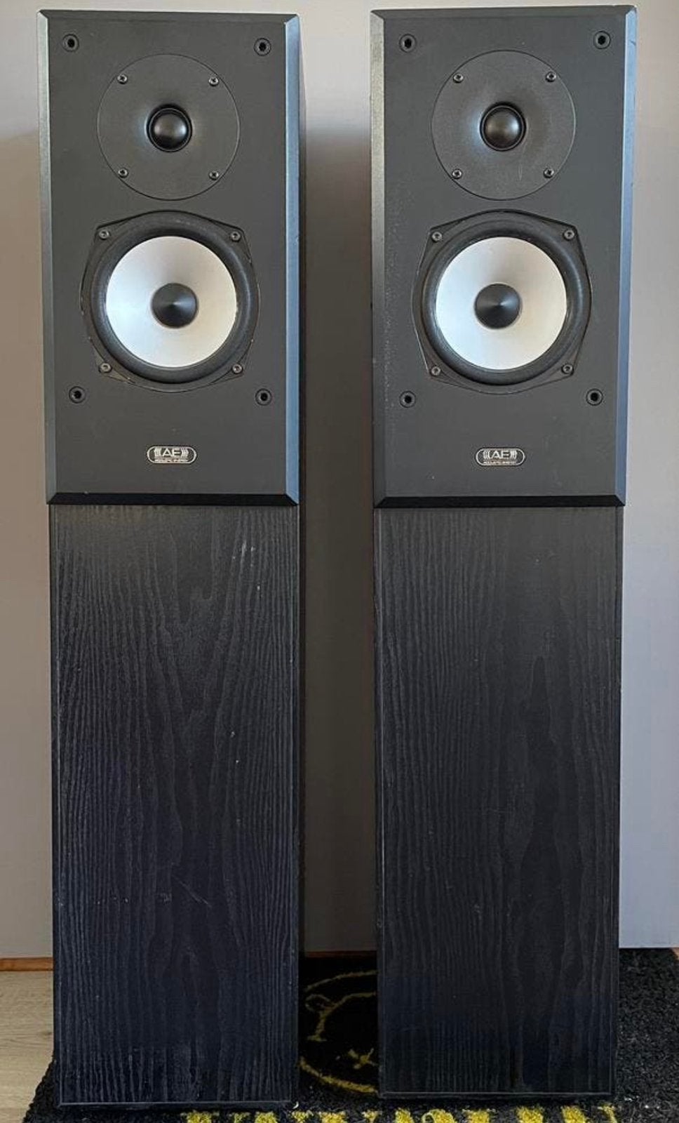 Acoustic Energy Aegis Two Speakerset, Audio, Tv en Foto, Luidsprekers, Zo goed als nieuw, 120 watt of meer, Front, Rear of Stereo speakers
