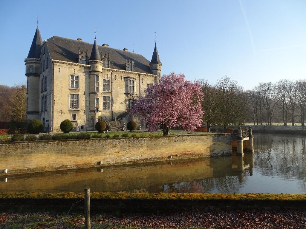Overnachten in hotelkamer of woning bij Limburgs Kasteel, Vakantie, Vakantiehuizen | Nederland, Limburg, Appartement, In bos, Eigenaar