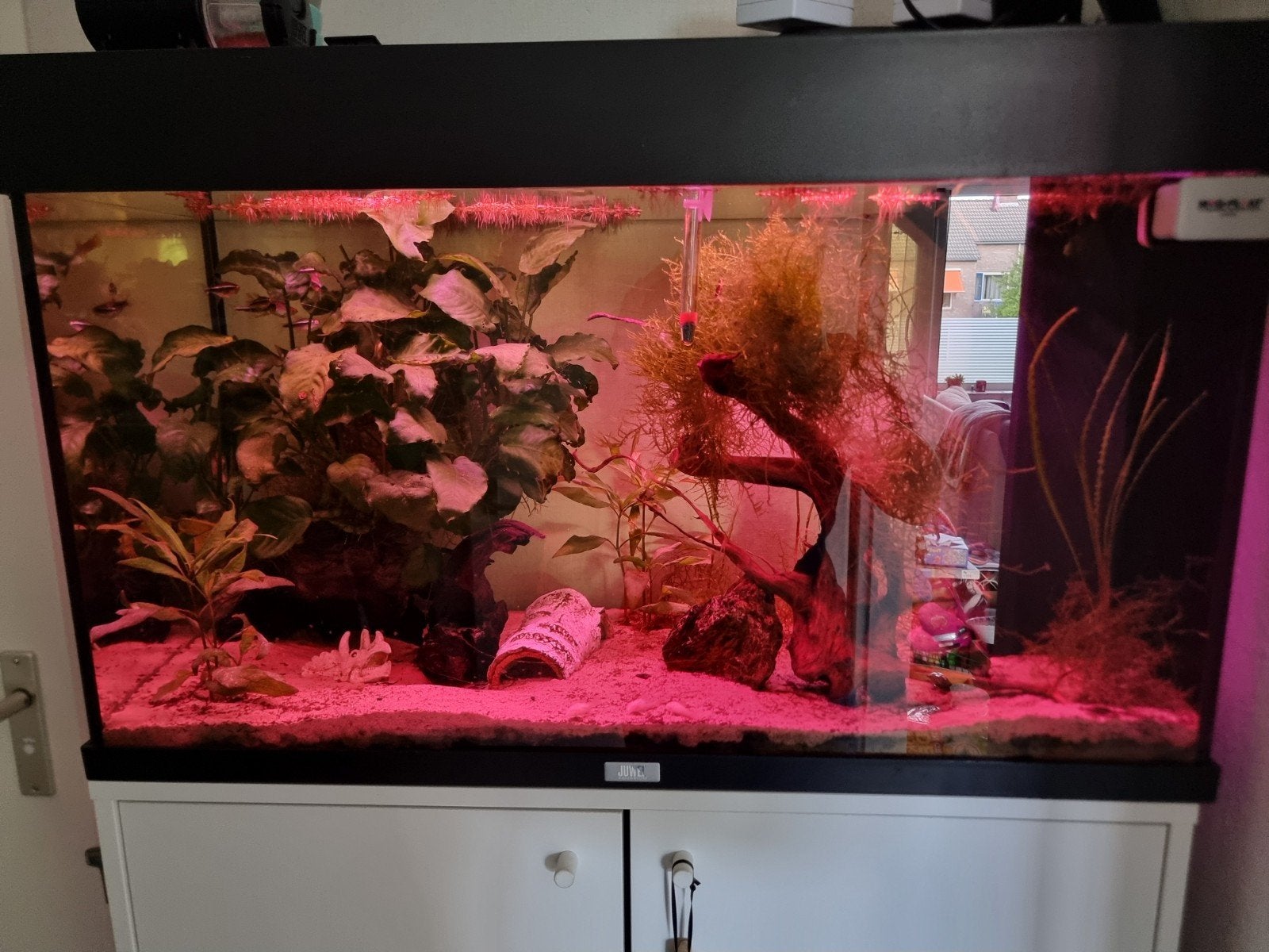 Juwel aquarium 120 liter, Dieren en Toebehoren, Ophalen, Gevuld zoetwateraquarium