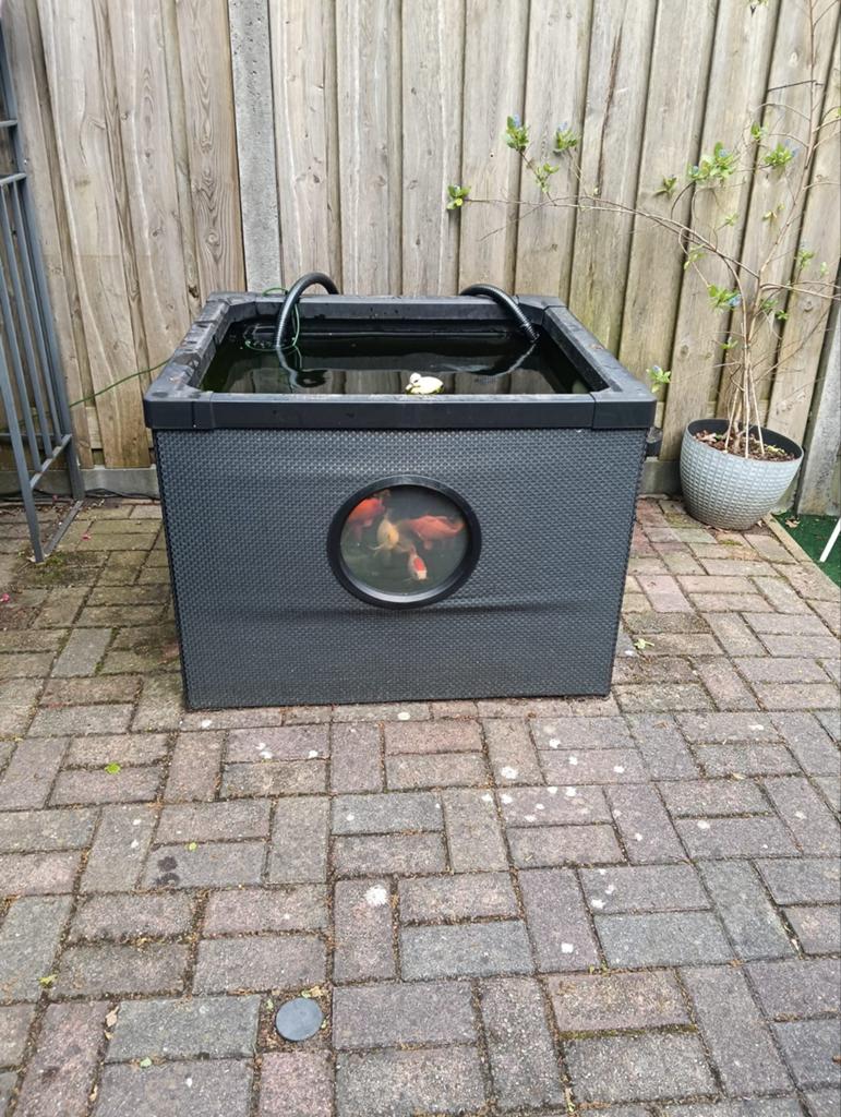 Compacte vijver met vissen en filtersysteem, Tuin en Terras, Vijvers, Gebruikt, Ophalen