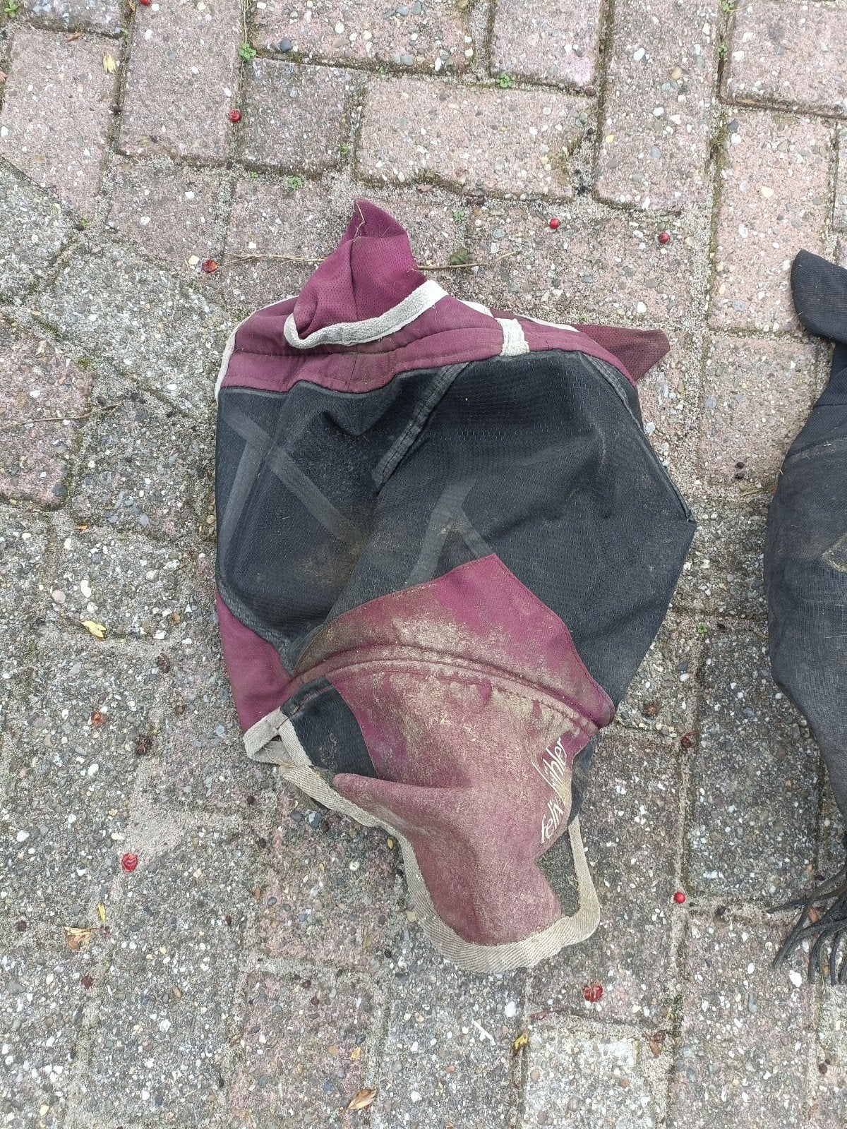 vliegenmasker, Ophalen