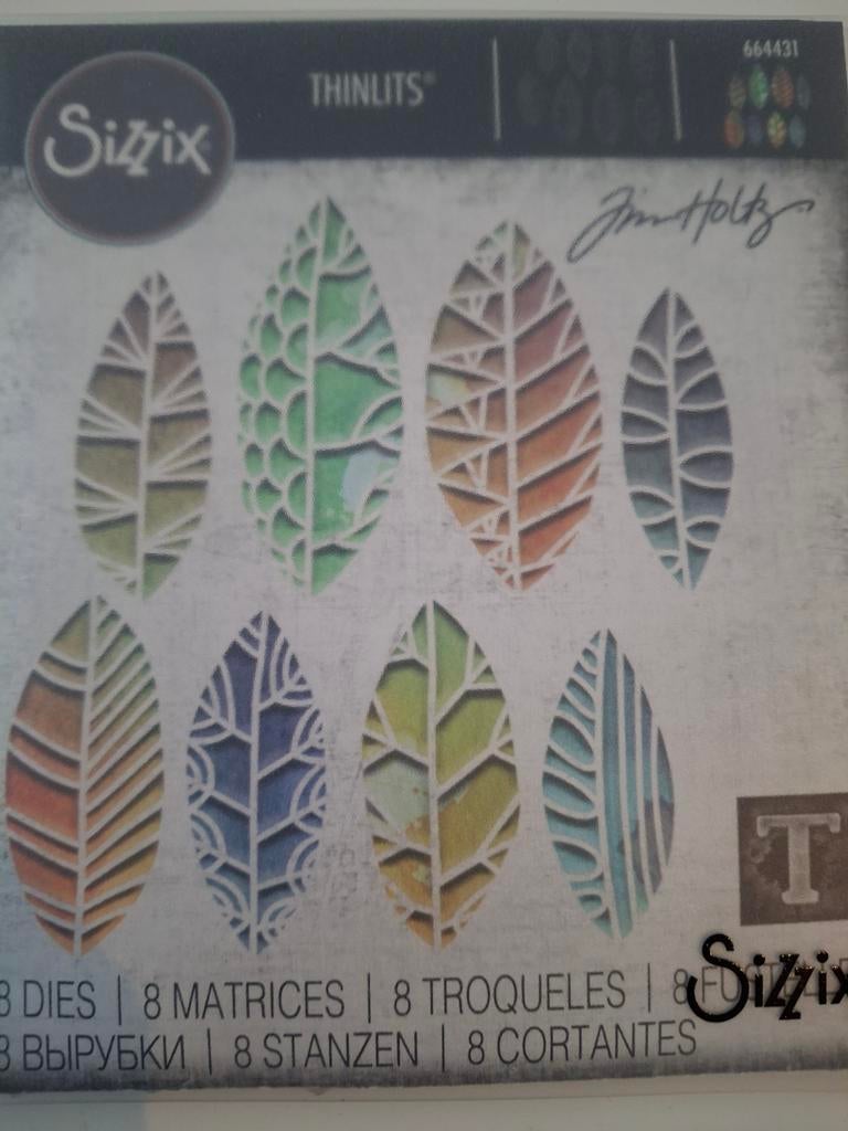Nieuwe Sizzix thinlits van Tim Holtz, Ophalen of Verzenden, Nieuw, Frame of Mal, Sizzix