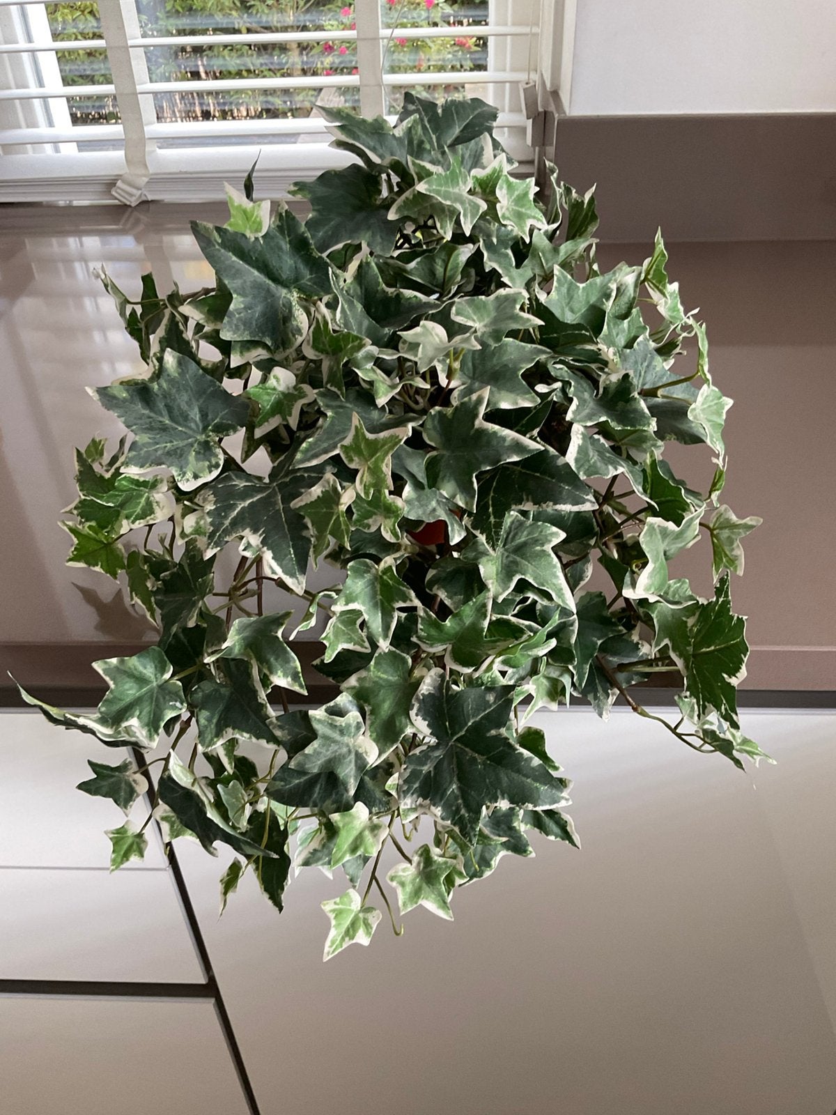 Mooie kunst hangplant, Binnen, Groen, Kunstplant, Ophalen of Verzenden