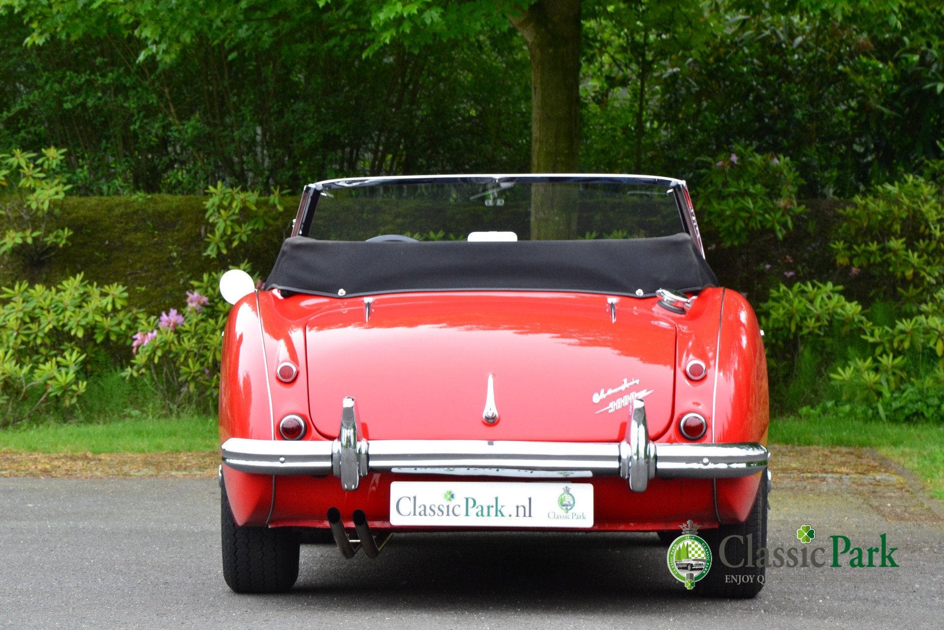 Austin Healey 3000 MK II A (bj 1962), foto 4