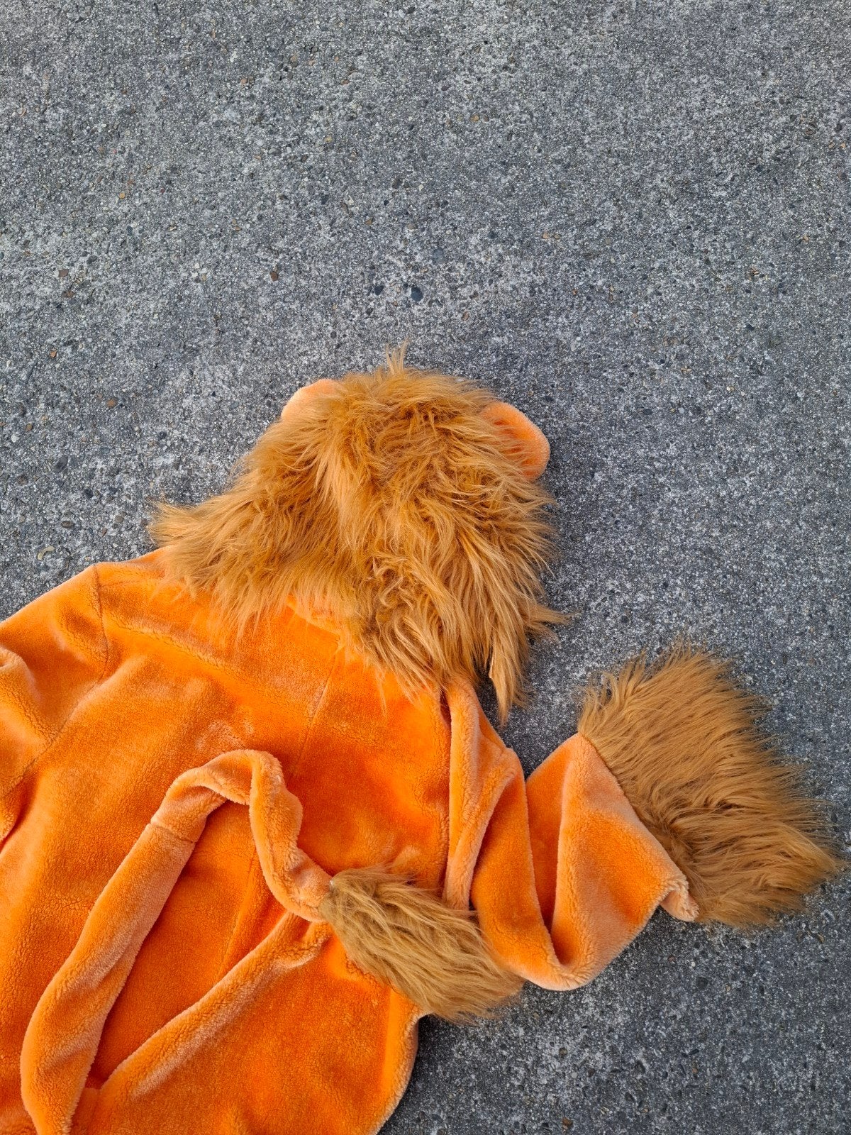 Oranje leeuwenpak maat M L, Ophalen of Verzenden, Nieuw, Oranje of Koningsdag