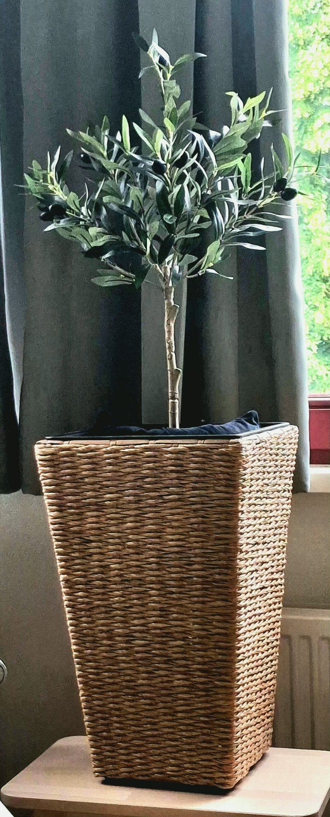 Decoratieve Olijfboom in grote Rotan Bloempot, Ophalen, Overige materialen, Minder dan 60 cm, Vierkant