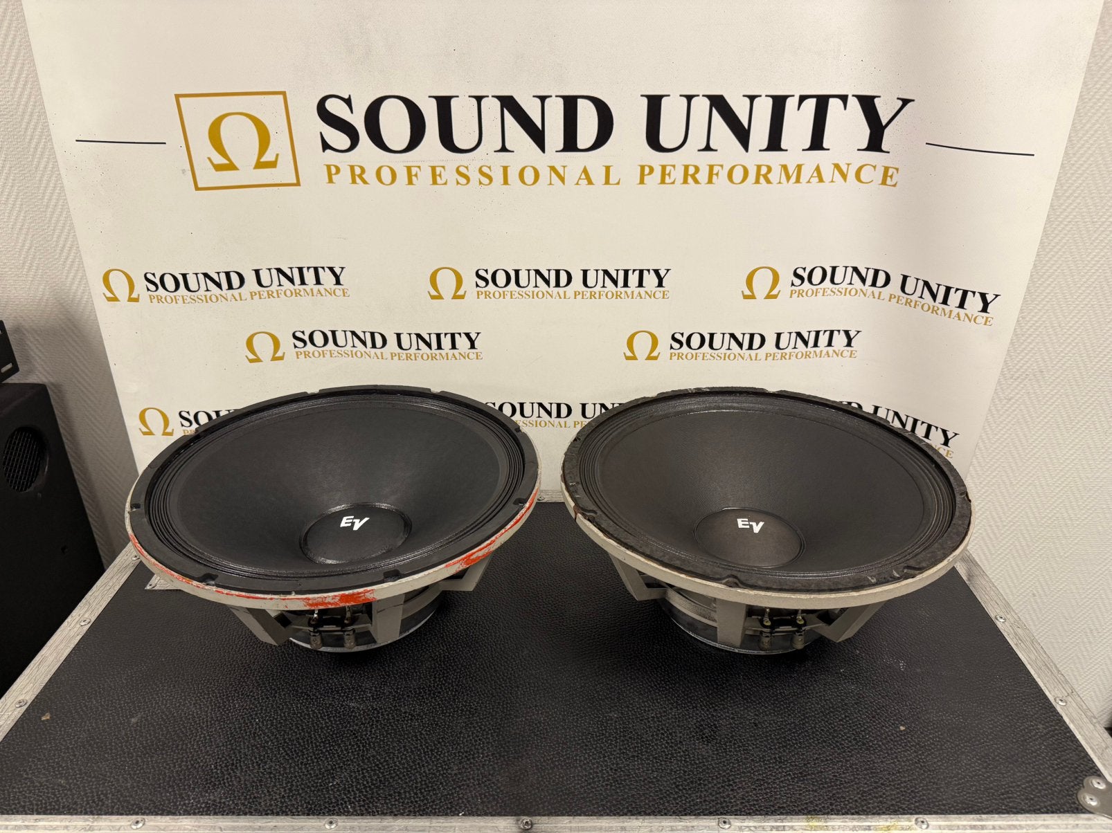 EV - Electro Voice DL15X woofer