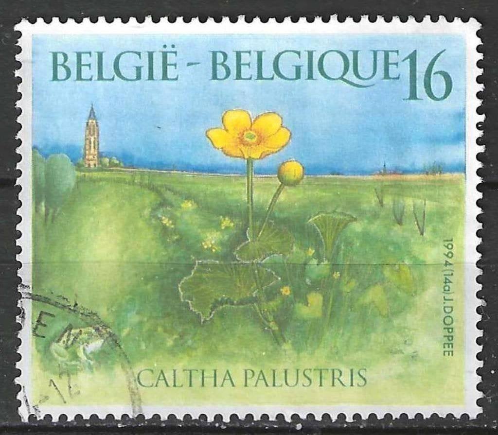 Belgie 1994 - Yvert/OBP 2572 - Natuur - Planten (ST), Verzenden, Gestempeld