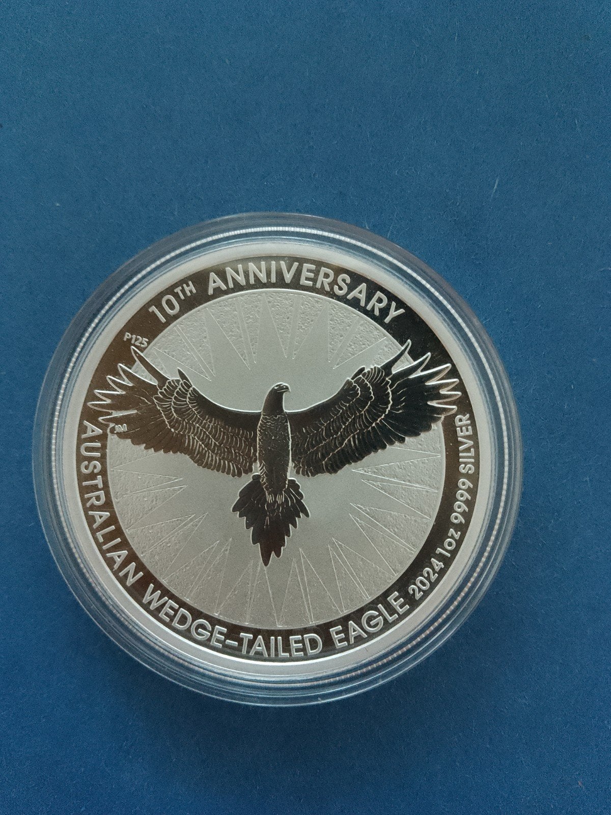 Wedge tailed Eagle 2024 1 oz zilver, Ophalen of Verzenden, Zilver