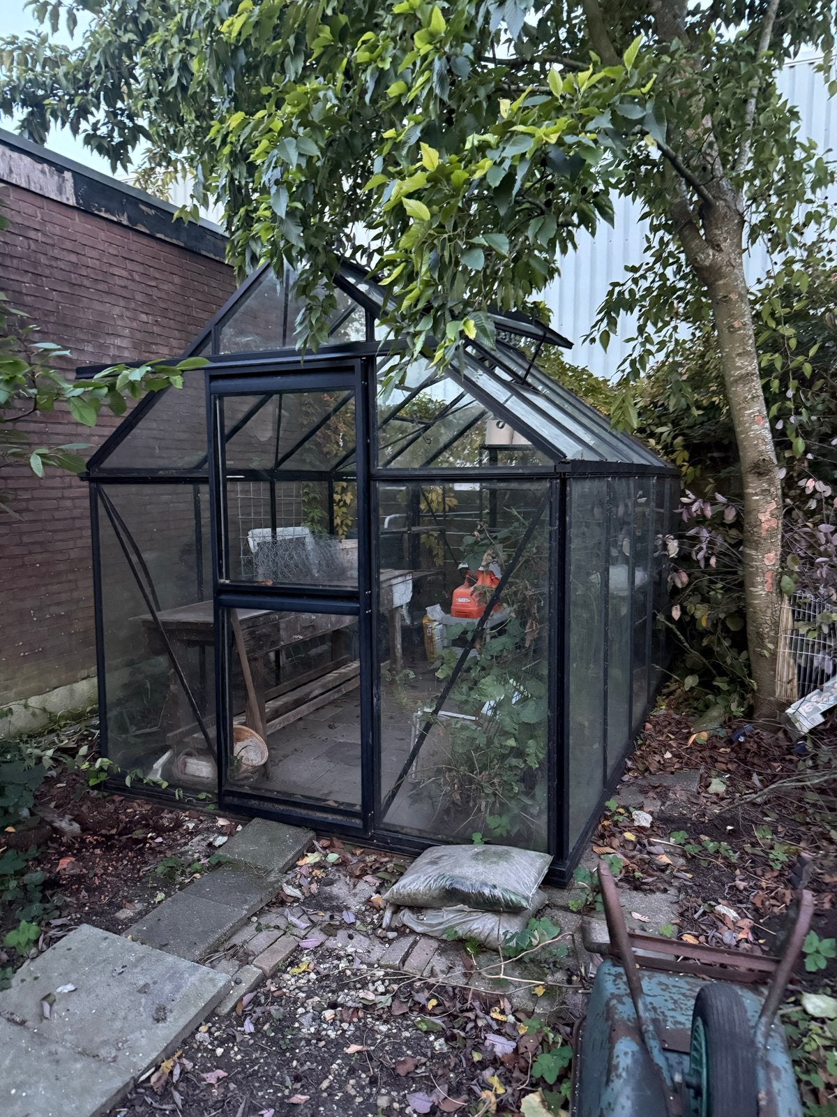 Glazen kas 235x385 cm - Super goed onderhouden, Ophalen, Kweekkas, Zo goed als nieuw, Glas