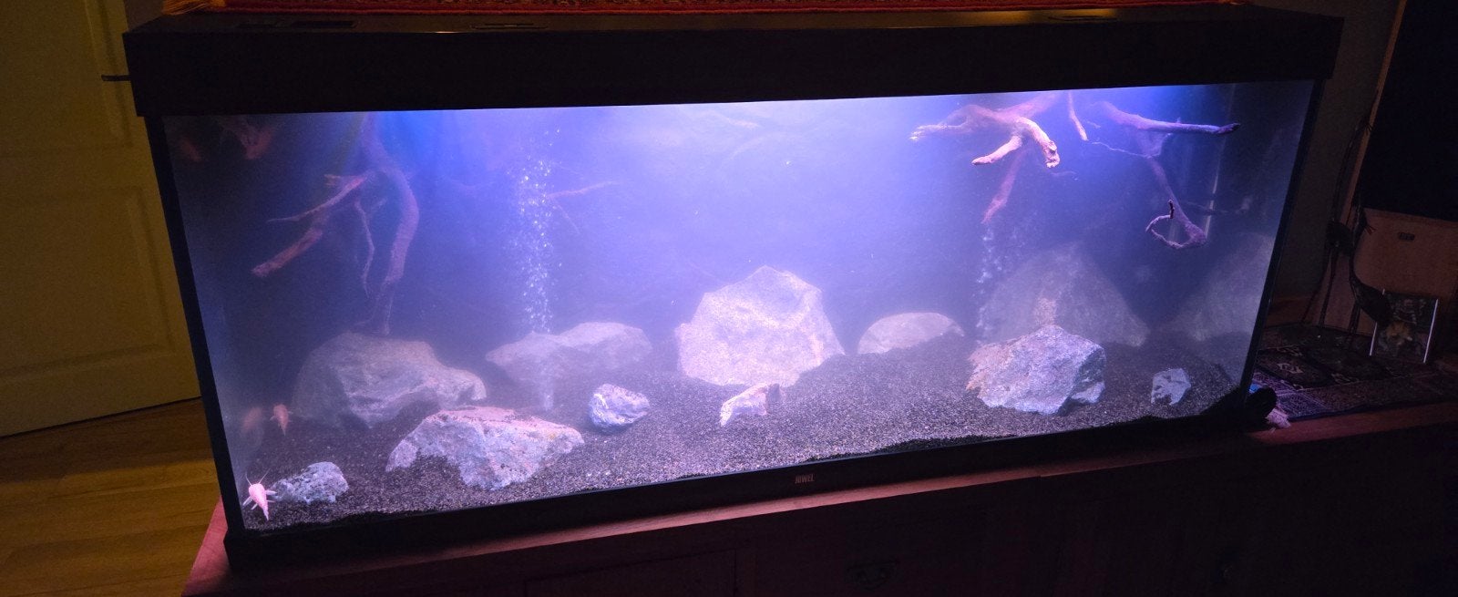 juwel 450., Dieren en Toebehoren, Ophalen, Zo goed als nieuw, Gevuld zoetwateraquarium